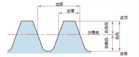 齒輪齒高和齒厚