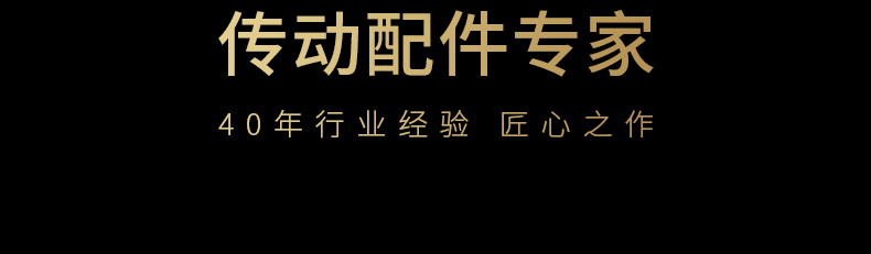 40年齒條導(dǎo)軌傳動配件專家品質(zhì)保障